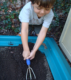 Male student participates in a gardening activity