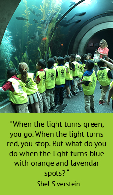 When the light turns green, you go. When the light turns red, you stop. But what do you do when the light turns blue with orange and lavender spots? - Shel Silverstein